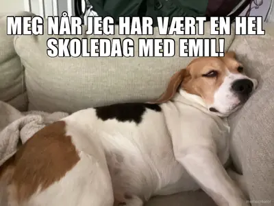 MEG NÅR JEG HAR VÆRT EN HEL SKOLEDAG MED EMIL! - meme