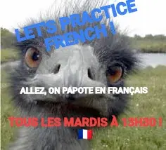 LET'S PRACTICE FRENCH ! — ALLEZ, ON PAPOTE EN FRANÇAIS  — TOUS LES MARDIS À 13H30 ! 🇫🇷 meme
