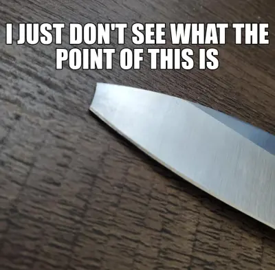 I JUST DON'T SEE WHAT THE POINT OF THIS IS meme