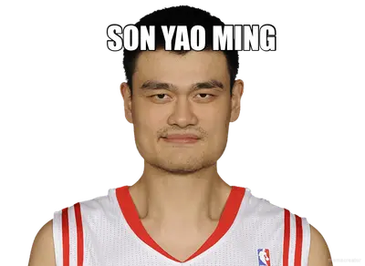 SON YAO MING
