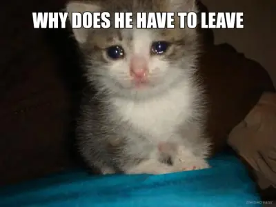 WHY DOES HE HAVE TO LEAVE meme