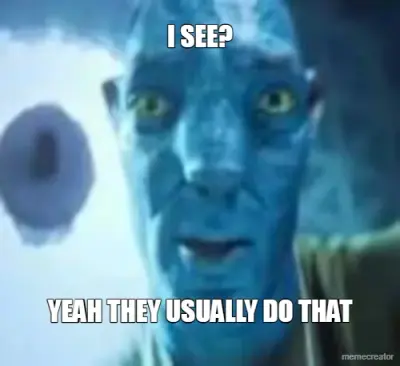 I SEE? - YEAH THEY USUALLY DO THAT meme
