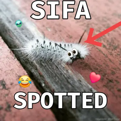 sifa meme
