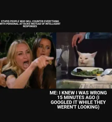 STUPID PEOPLE WHO WILL COUNTER EVERYTHING WITH PERSONAL ATTACKS INSTEAD OF INTELLIGENT RESPONSES — M meme