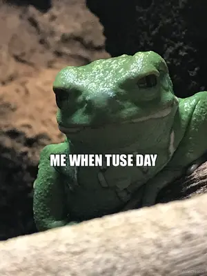 ME WHEN TUSE DAY meme
