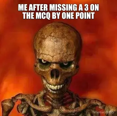 ME AFTER MISSING A 3 ON THE MCQ BY ONE POINT meme