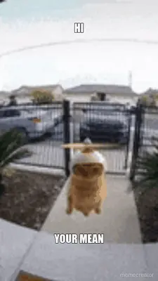 HI - YOUR MEAN meme