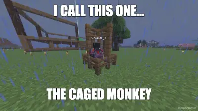 I CALL THIS ONE... - THE CAGED MONKEY meme