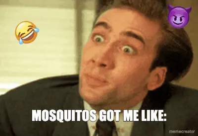 MOSQUITOS GOT ME LIKE: meme