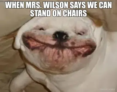 WHEN MRS. WILSON SAYS WE CAN STAND ON CHAIRS meme