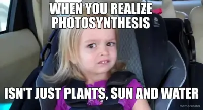 WHEN YOU REALIZE PHOTOSYNTHESIS - ISN'T JUST PLANTS, SUN AND WATER