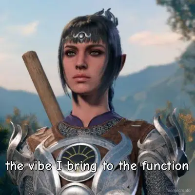the vibe I bring to the function meme