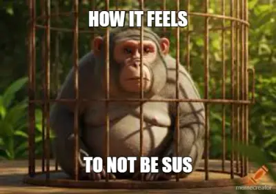 HOW IT FEELS - TO NOT BE SUS meme