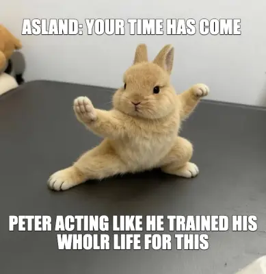 ASLAND: YOUR TIME HAS COME  - PETER ACTING LIKE HE TRAINED HIS WHOLR LIFE FOR THIS meme