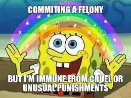 COMMITING A FELONY — BUT I'M IMMUNE FROM CRUEL OR UNUSUAL PUNISHMENTS meme