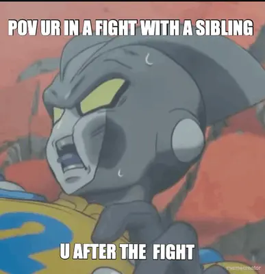 POV UR IN A FIGHT WITH A SIBLING  - U AFTER THE  FIGHT meme