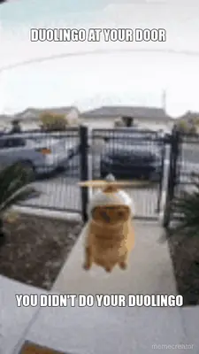 DUOLINGO AT YOUR DOOR  - YOU DIDN'T DO YOUR DUOLINGO meme