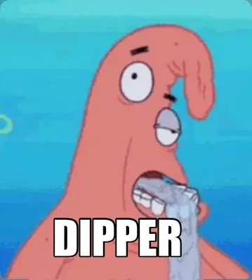 DIPPER meme