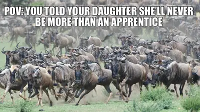 POV: YOU TOLD YOUR DAUGHTER SHE’LL NEVER BE MORE THAN AN APPRENTICE meme