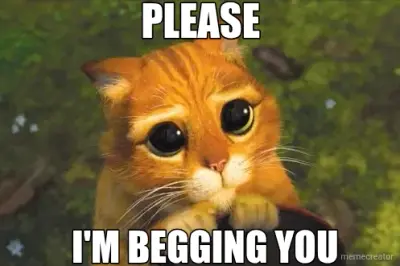 PLEASE - I'M BEGGING YOU meme