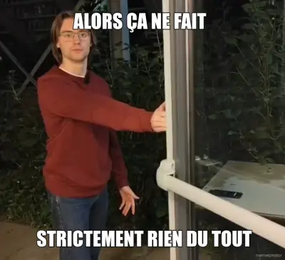 ALORS ÇA NE FAIT - STRICTEMENT RIEN DU TOUT meme