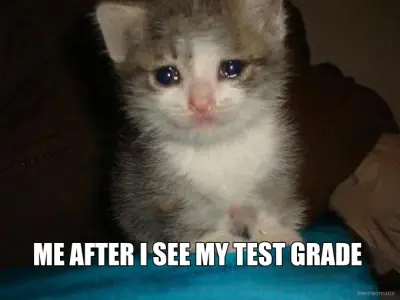ME AFTER I SEE MY TEST GRADE meme