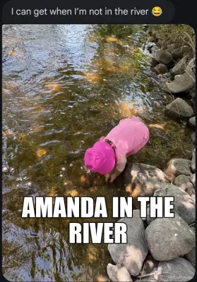 AMANDA IN THE RIVER meme