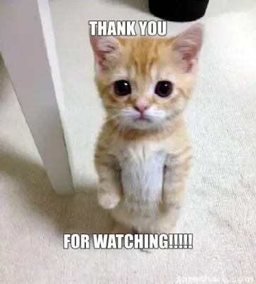 THANK YOU - FOR WATCHING!!!!! meme