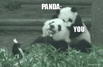 PANDA: - YOU: meme