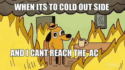 WHEN ITS TO COLD OUT SIDE  - AND I CANT REACH THE  AC meme