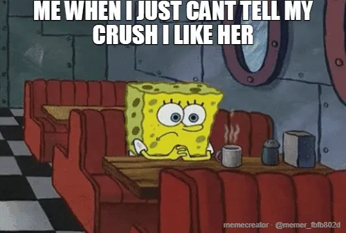 ME WHEN I JUST CANT TELL MY CRUSH I LIKE HER
