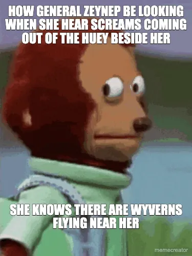 HOW GENERAL ZEYNEP BE LOOKING WHEN SHE HEAR SCREAMS COMING OUT OF THE HUEY BESIDE HER - SHE KNOWS TH