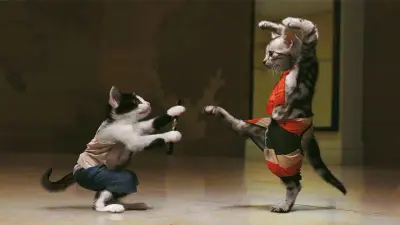 Kitty Fu meme template