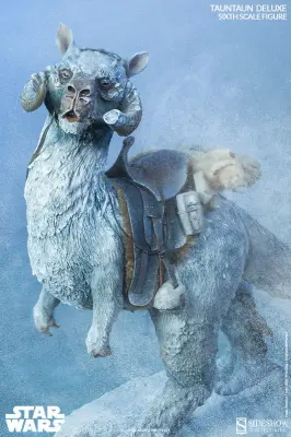 TaunTaun meme template
