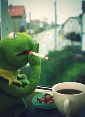 Kermit smoking meme template
