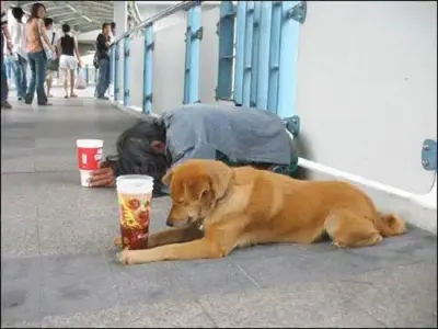 beggar meme template