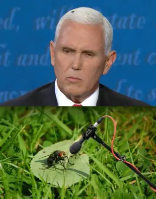 fly pence meme template