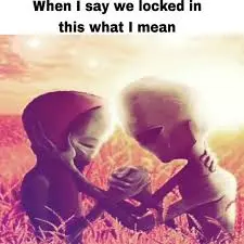 IMG_1554 meme meme template