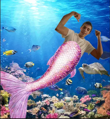 WHEN SOMEONE SAYS SHE WAS A FAIRY - MORE LIKE HE WAS A MERMAID MF'S meme template
