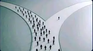 AP Gov Essay - Social Movements - Congressional Action meme template