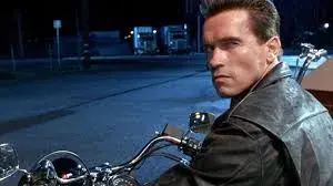 Arnold Schwarzenegger meme template