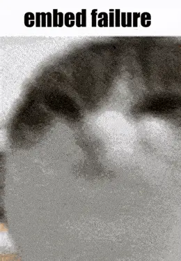 NO SUPPORT meme template