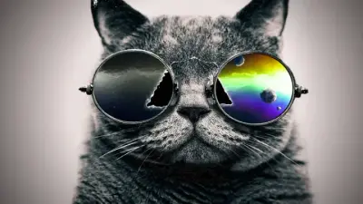 Guru Cat meme template
