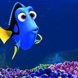 Dory meme template
