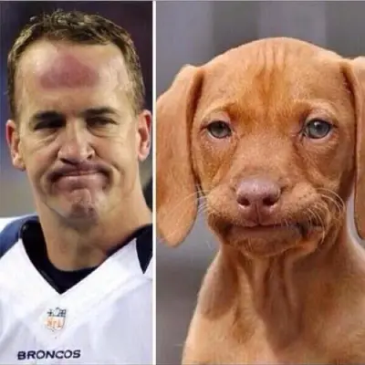 oh well meme template
