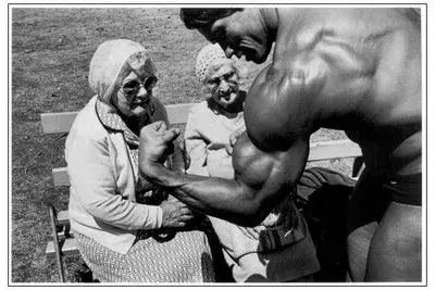 Arnold meme template