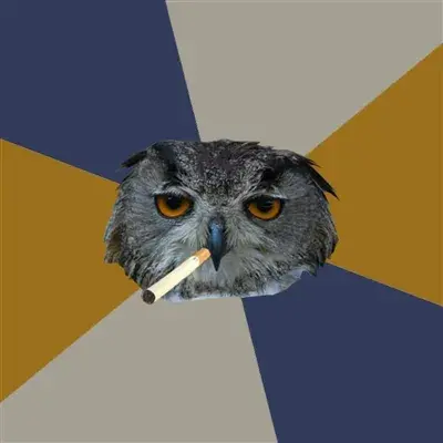 Smoking Owl meme template