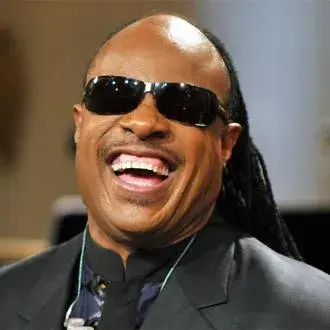 Stevie Wonder meme template