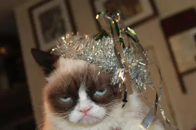 Happy new year meme template