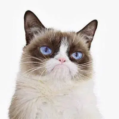 HOW WORK IS LOOKING AT YOU AFTER A VACATION meme template